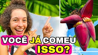 COMO FAZER UMBIGO DE BANANA  SIMPLES RÁPIDO E FÁCIL [upl. by Thgirw]