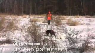 TriTronics Upland G3 Beeper Overview [upl. by Burdelle]