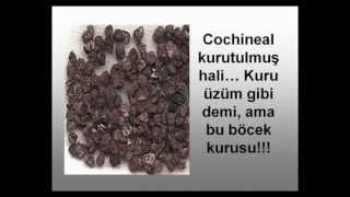 COCA COLANIN YAPILIŞI İZLEYİNCE İĞRENECEKSİNİZ [upl. by Adnaugal285]