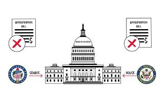 Congressional Appropriations Process [upl. by Ettenawtna589]