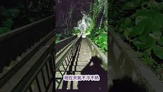 淡江大學上下山密道：步驟一｜淡大往來英專路捷徑｜往淡水捷運的最短距離 [upl. by Eikcim]