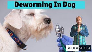 Deworming  Dewormed  Deworm  In Dogs  Puppys  Bhola Shola [upl. by Turino]