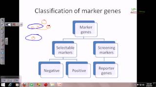 Reporter genes and their importance [upl. by Akinar]