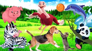 Discover Amazing familiar animals life cow pig duck cat dog hippo parrot horse panda [upl. by Allard198]