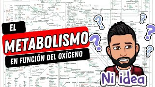 METABOLISMO RESPIRACIÓN AEROBIA ANAEROBIA o FERMENTACIÓN [upl. by Ariella]