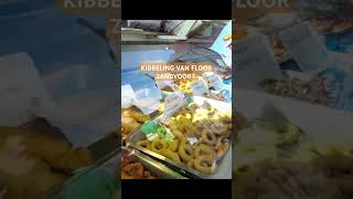 Zandvoort kibbeling van Floor [upl. by Latrena270]