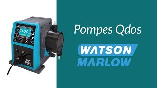 Pompe Qdos WATSON MARLOW® [upl. by Kobi427]