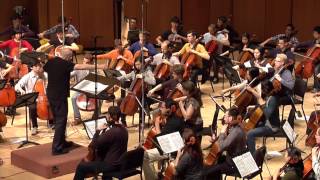 MAHLER Symphony No 5 Adagietto  Northwestern Cello Ensemble [upl. by Teufert]