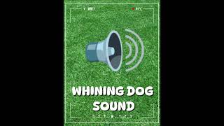 WHINING DOG SOUND 🔊 soundeffects [upl. by Cath]