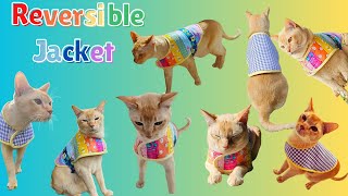 Sewing DIY cat rainbow reversible jacket Free pattern linked [upl. by Jerri]