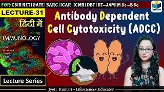 Immunology Antibody Dependent Cell Cytotoxicity ADCC  Lecture31 [upl. by Aysahc]