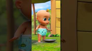 Little Chicks 🐤 Roly Poly Nursery Rhymes  LooLoo Kids [upl. by Eical]