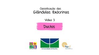 3 Glândulas Exócrinas Ductos [upl. by Veradi]