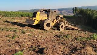 CAT Skidder 525 tethered logging [upl. by Oz]