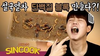 바퀴벌래양갱 설국열차 단백질블럭 만들기 실험요리먹방혐오음식SINCOOK 신쿡김신도 [upl. by Aizirtap]