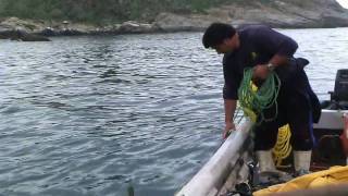 Pescadores de la Caleta de Zapallar [upl. by Lain310]