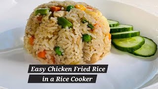 One Pot Chicken Fried Rice  Rice Cooker Recipe  Dota’s [upl. by Gentry]