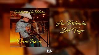 Dani Tapia  Las Pisteadas Del Vago [upl. by Gianni]