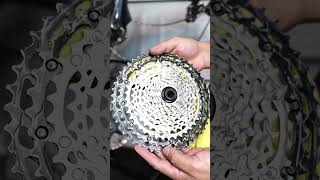 Industry Nine Hydra HUB amp Shimano XT Cassette maintenance 🔧🐝 [upl. by Caton]