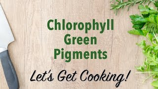 Chlorophyll Green Pigments [upl. by Weylin424]