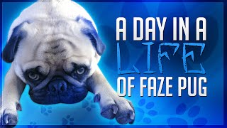 A Day in the Life of FaZe Pug  FaZe Rug [upl. by Zadoc]