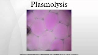 Plasmolysis [upl. by Pooi]