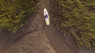 My favorite place to EXPLORE  Paddle Board FIshing  Charleston Wando River Back Creeks [upl. by Turne21]