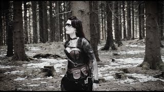 Erdling  Wir sind Midgard Official Music Video [upl. by Kyre833]