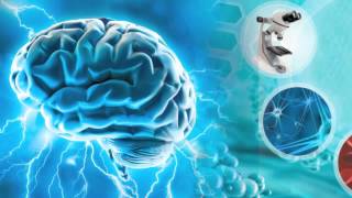 Grow New Brain Cells with Taurine Improve a Congestive Heart and Metabolic Syndrome [upl. by Elva]