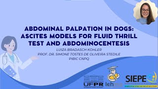 30º EVINCI  Abdominal Palpation in Dogs ascites models for fluid thrill test and abdominocentesis [upl. by Tiernan]