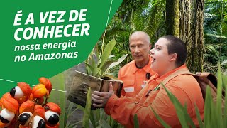 Amazonas energia com sustentabilidade [upl. by Eizzik]