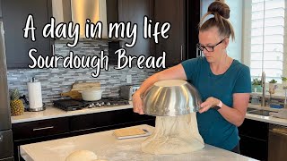 A Days In My Life As A Sourdough Baker [upl. by Aromat435]