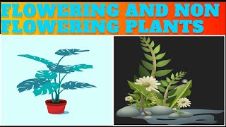 Flowering and Non Flowering Plants class 5  Biology Sarthak Dhakal smartsarthak3376 [upl. by Arinaid]