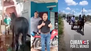 Guajiros cubanos en Consolación del Sur protestan contra el régimen tras la muerte de caballo [upl. by Vergil268]