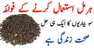 harmal seeds benefits  harmal seeds uses in urdu  sehat zindagi hai [upl. by Tengler]