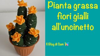 Spiegazione della pianta grassa alluncinetto con i Fiori gialli [upl. by Penrod]