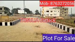 ❤Plot For Sale in Trisulia Cuttack [upl. by Jecoa187]