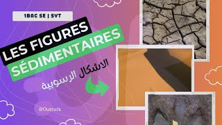 1BACSE Chapitre I  Les figures sédimentaires الاشكال الرسوبية  géologie SVT [upl. by Yesac349]