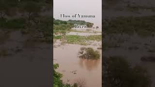 Flow of yamuna river [upl. by Olraced664]