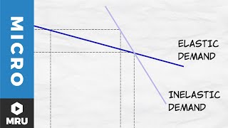 Elasticity of Demand [upl. by Aihseuqram185]