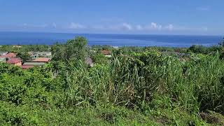 Boscobel St Mary Residential Lot for SALE 75000 USD [upl. by Hirai]