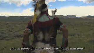 High Desert Museum Exhibit quotIcon of the Sagebrush Seaquot  Chicken Dance [upl. by Adlen989]