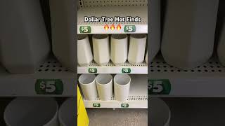 Dollar Tree Hot Finds🔥🔥🔥 dollar tree shopping dollartreefinds fall diyideas [upl. by Macnamara]