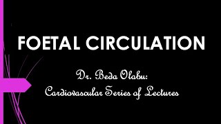 FOETAL CIRCULATION amp POSTNATAL CHANGES IN THE CARDIOVASCULAR SYSTEM [upl. by Lurleen]