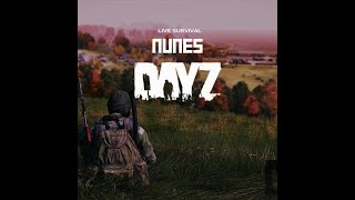 DAYZ DA RESENHA A ESPERA DA DLC FROSTIBITE [upl. by Ecnerat627]