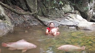 Adventurer in forest Catch redfish in river for jungle food Sour fruit with salt chili for food [upl. by Wald]