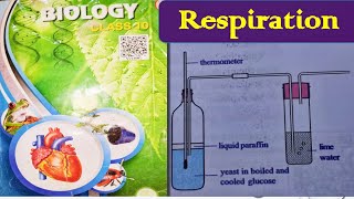 RespirationExperimentAnaerobic respiration10th class Biology Lessons [upl. by Emmerie]