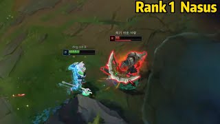 Rank 1 Nasus The Only Challenger Nasus in KR Server be Like [upl. by Ednalrim]