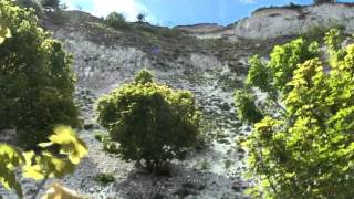 Fossil Hunt in Bedfordshire [upl. by Buonomo]