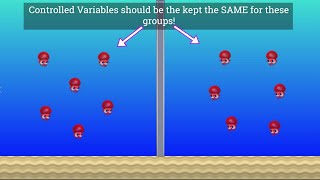 Variables in Science Independent Dependent and Controlled [upl. by Macur532]